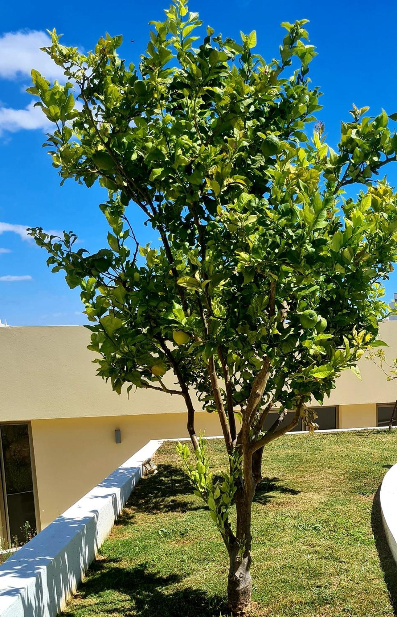 Armação de Pêra Hostel Supremo מראה חיצוני תמונה